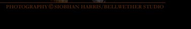 Portfolio of Bellwether Sutdio